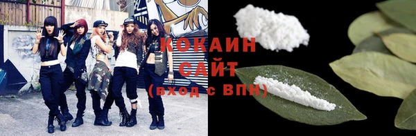 молекула духа Богданович