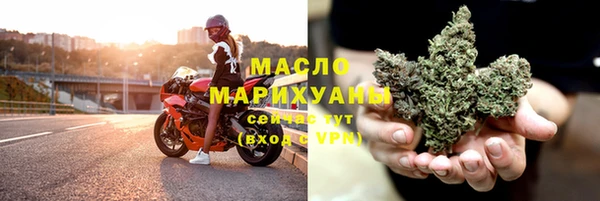 молекула духа Богданович