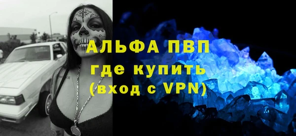 молекула духа Богданович