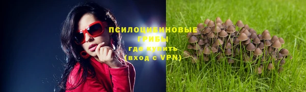 синтетический гашиш Богородицк