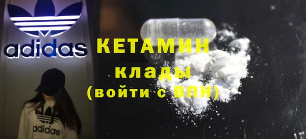 молекула духа Богданович
