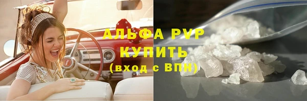молекула духа Богданович