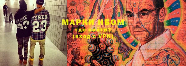 молекула духа Богданович