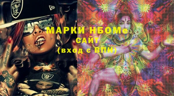молекула духа Богданович