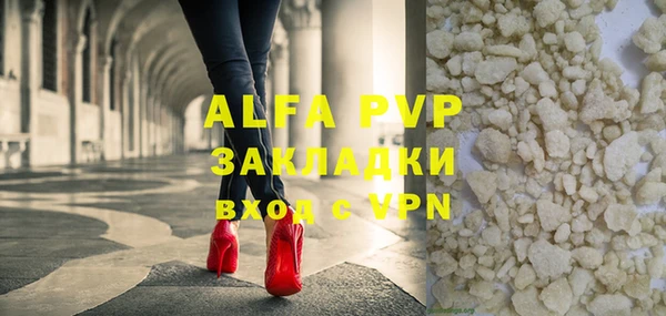 молекула духа Богданович
