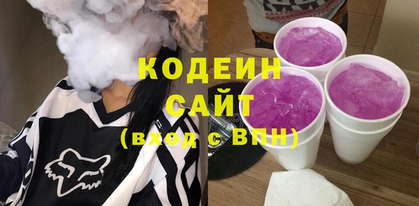 молекула духа Богданович