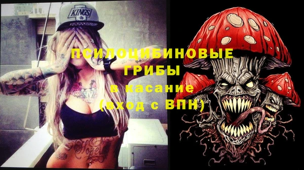 синтетический гашиш Богородицк