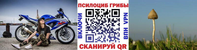купить наркотики цена Вельск Псилоцибиновые грибы Cubensis